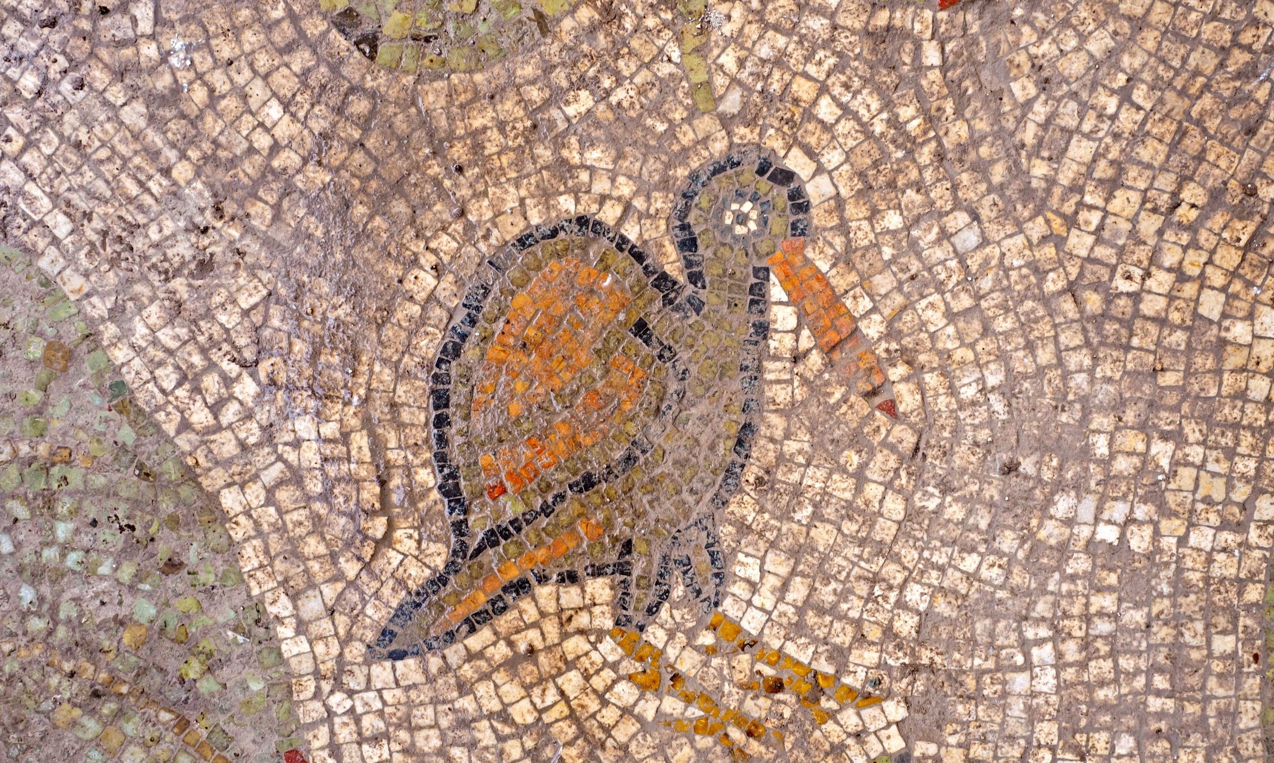 Pilgrims’ Riches
Photo: Asaf Peretz, Israel Antiquities Authority Detail from the church's mosaic floor, circa early sixth century
