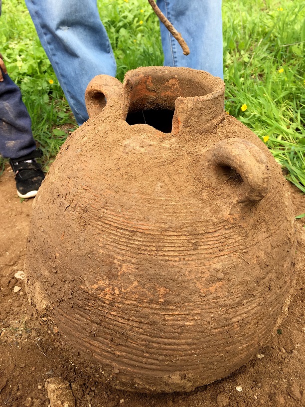 Storm Rains Reveal Byzantine Pot
Shmuelik Armon The Byzantine storage jar found by the Harod Stream