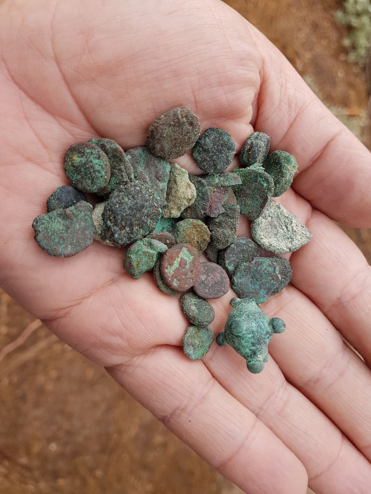 Antiquities Theft in Halutza
Guy Fitoussi Bronze coins confiscated from the antiquities thief