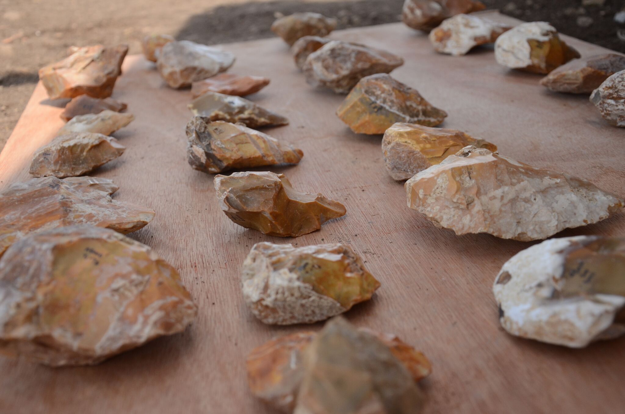 Flints Galore
Shmuel Magal, Israel Antiquities Authority Flints from Jaljulia arranged for photo-shoot