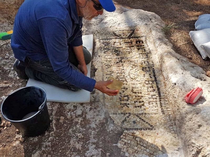 ברכת הגת
צילום: ראלב אבו דיאב, רשות העתיקות