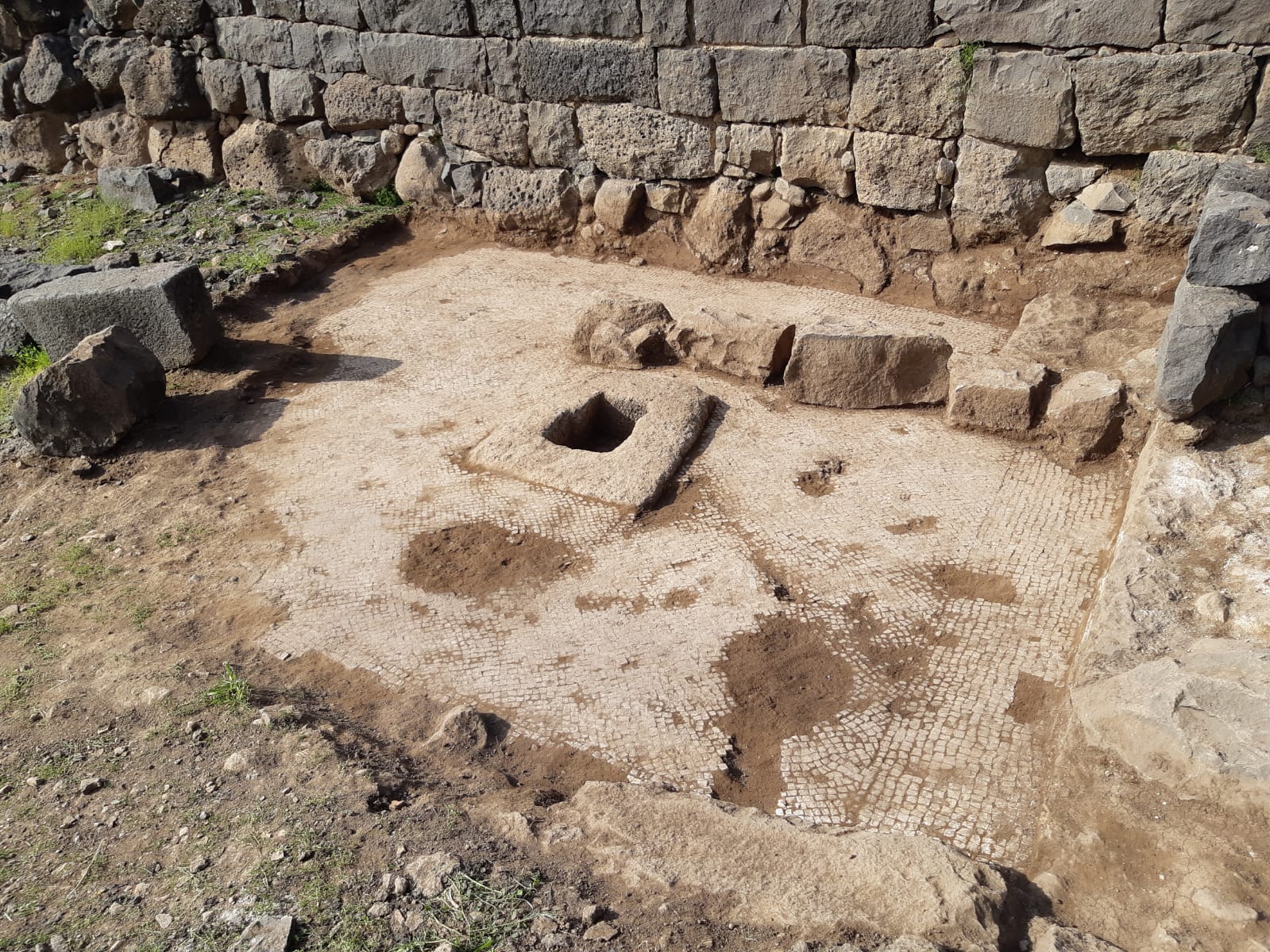 אל תגידו בגת
צילום: דקל שגב רשות הטבע והגנים גת בכורזים