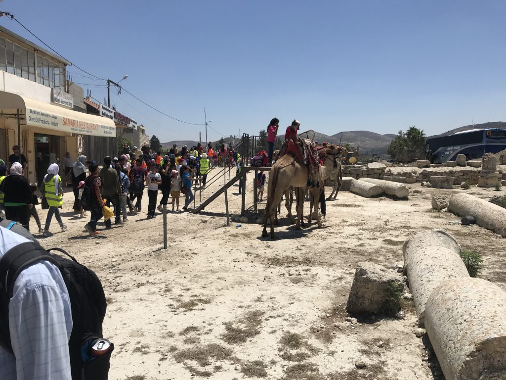 The new Palestinian tourist center, Sebastia / Samaria