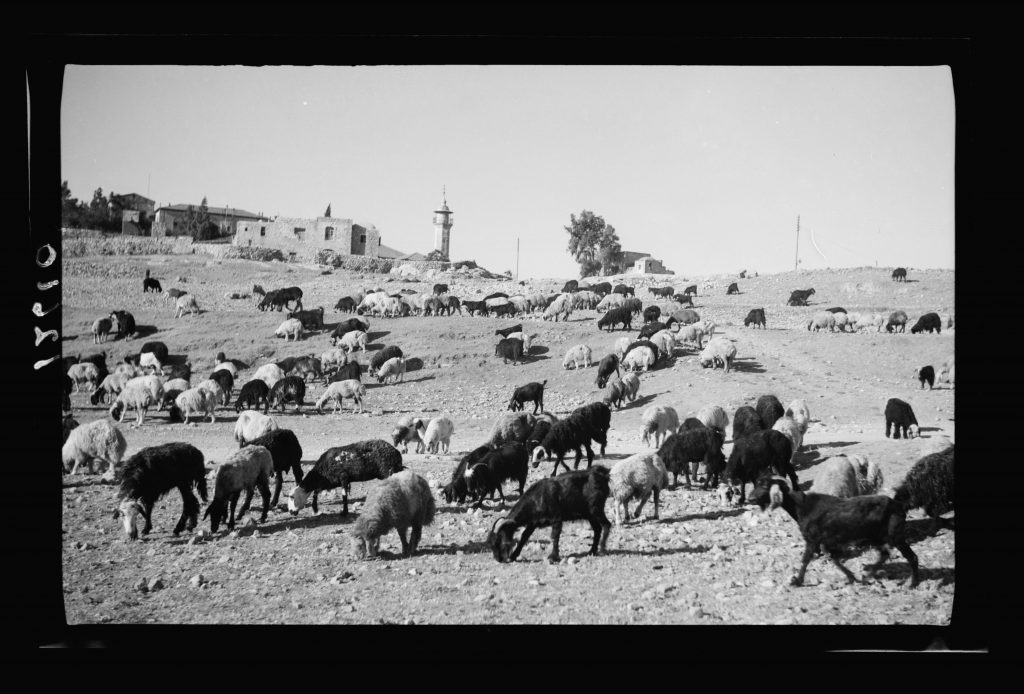 החיים מחוץ לחומות אפשרו לעשירים לחיות ברווחה בבתי מידות. שכונת שייח' ג'ראח בראשית שנות הארבעים