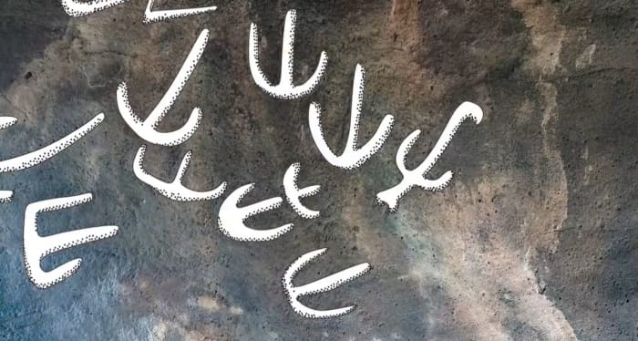 מסרים מסתוריים על דולמנים
איור להמחשת ציורי הקיר בדולמן שבקיבוץ שמיר. איור: חגית טחן, רשות העתיקות. צילום: יניב ברמן, רשות העתיקות.